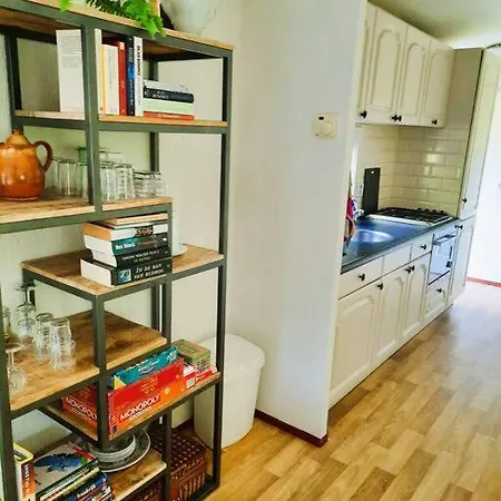 Chalet Veluwe Flow I Genieten Nabij Bos Epe