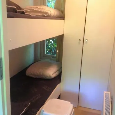Veluwe Flow I Genieten Nabij Bos Chalet