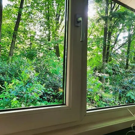 Veluwe Flow I Genieten Nabij Bos *