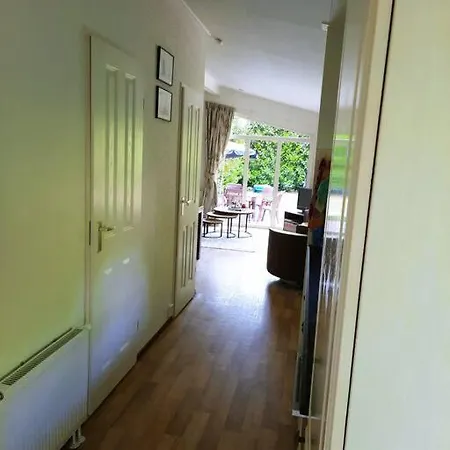 Veluwe Flow I Genieten Nabij Bos Chalet