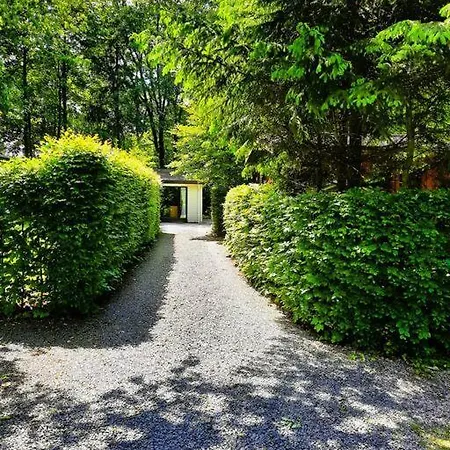 Veluwe Flow I Genieten Nabij Bos Chalet Epe